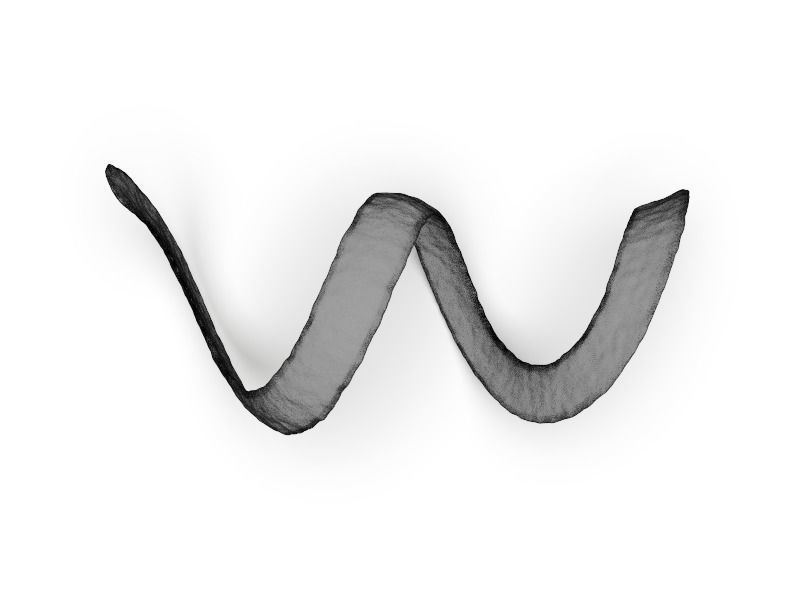 Lemon Peel 3D model_1