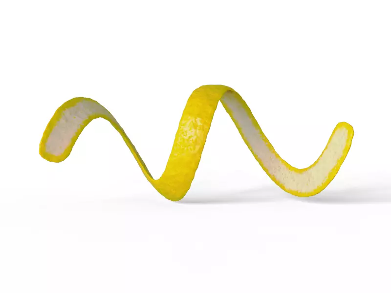 Lemon Peel 3D model_0