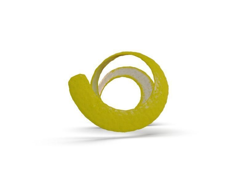 Lemon Peel 3D model_4