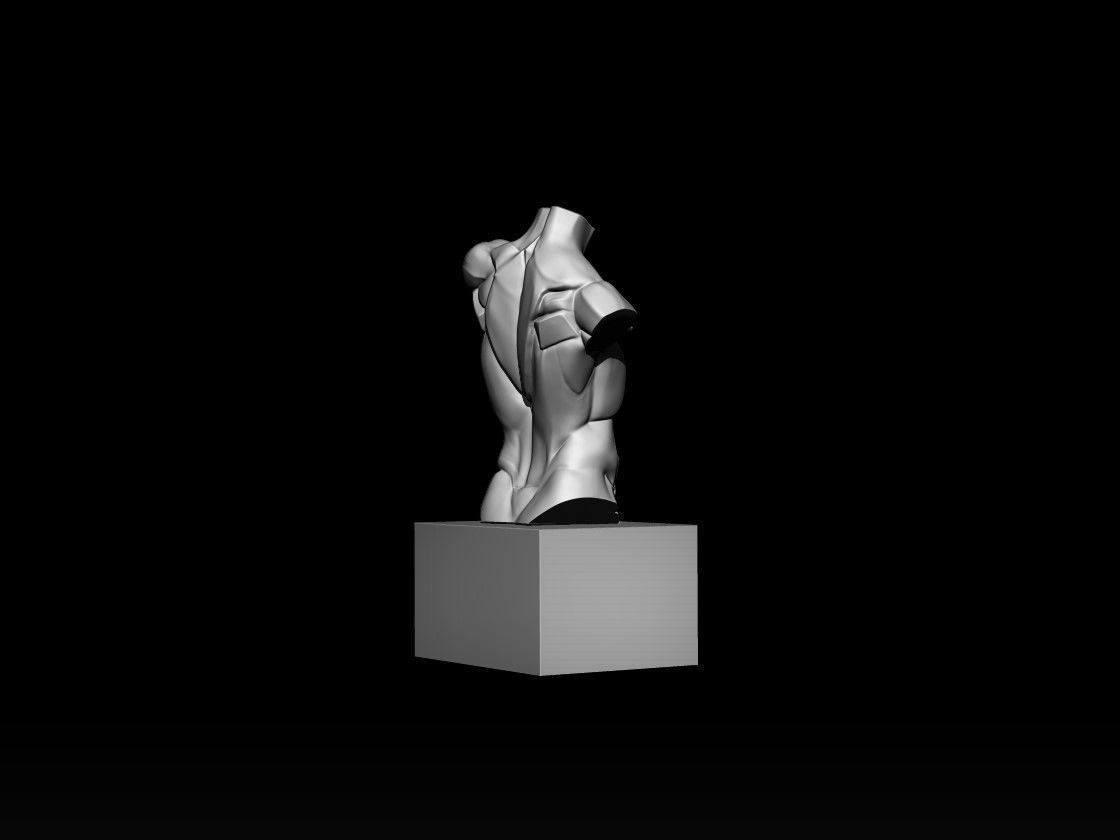Planes of The Torso 3D model_3
