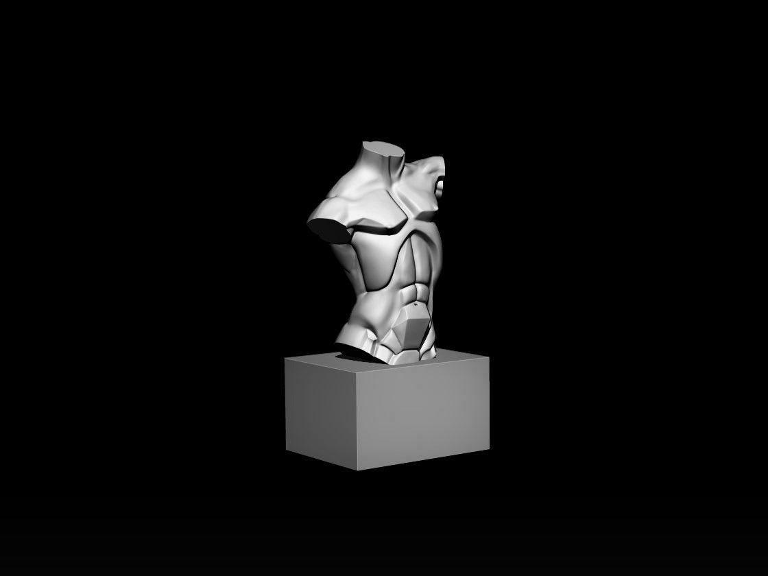 Planes of The Torso 3D model_1