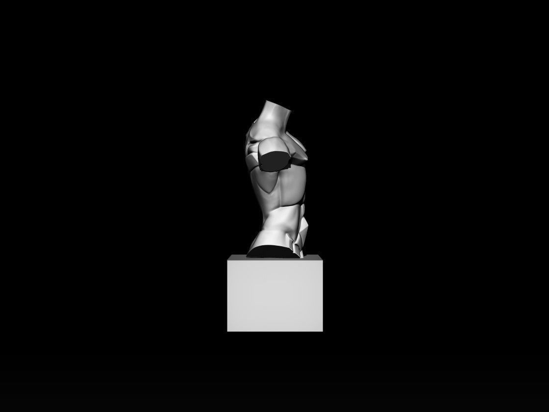 Planes of The Torso 3D model_2