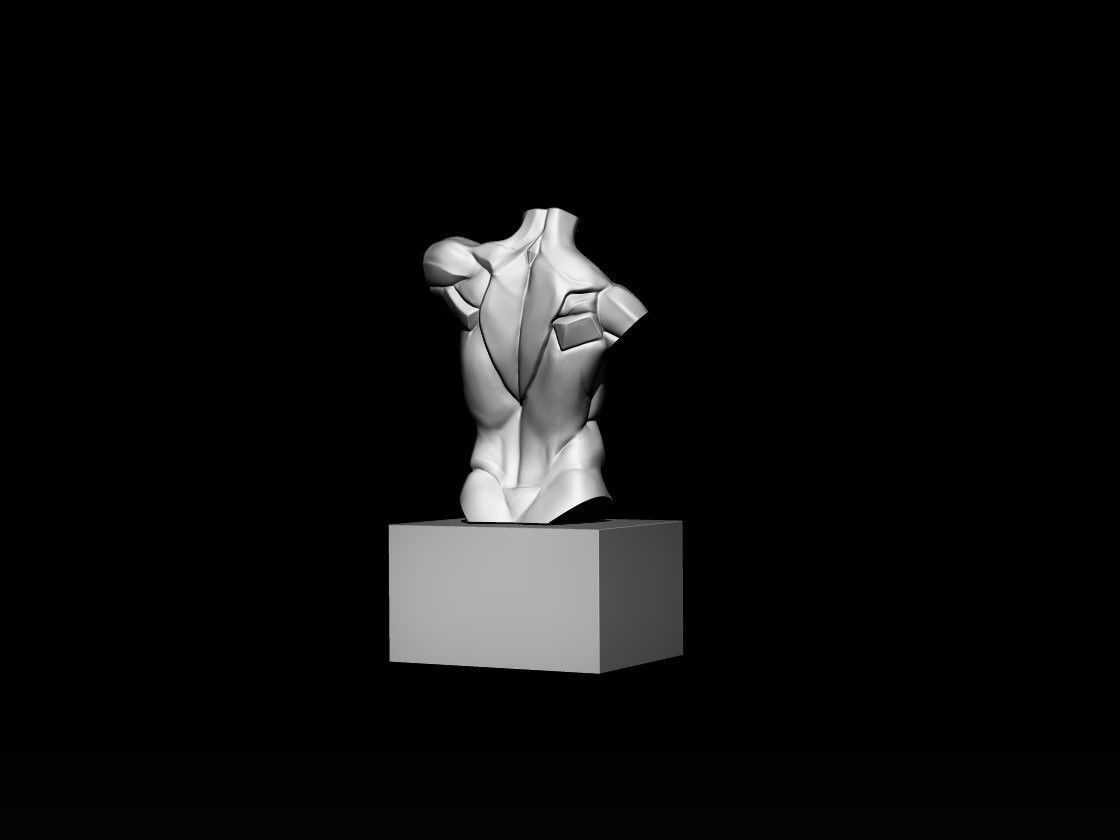 Planes of The Torso 3D model_4