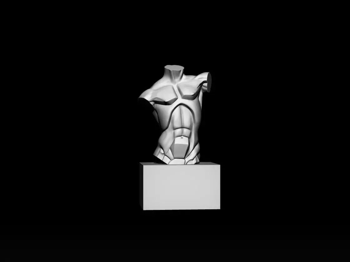 Planes of The Torso 3D model_0