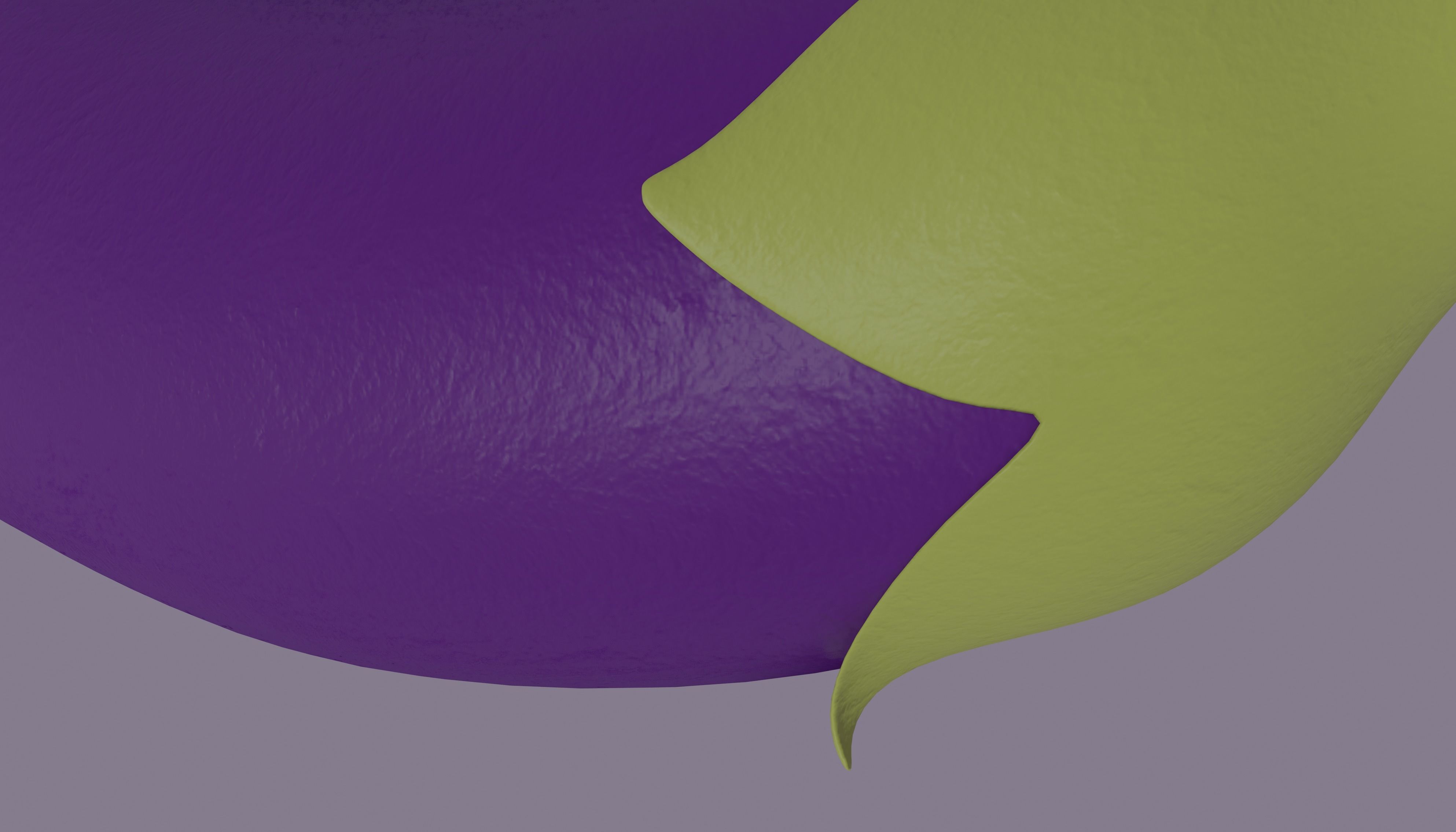 Eggplant 3D model_10