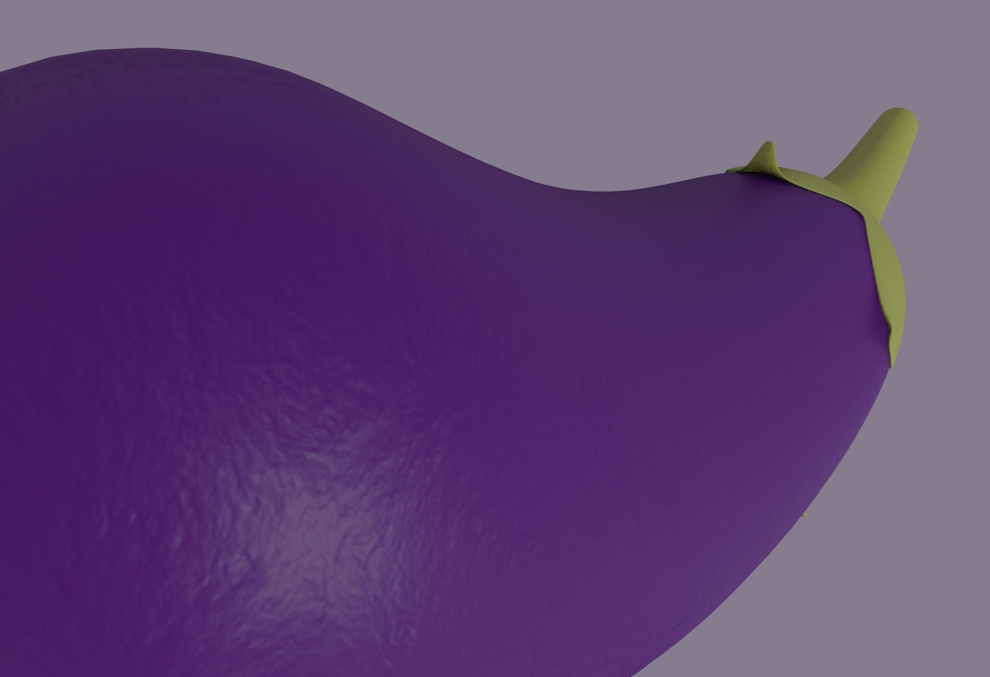 Eggplant 3D model_11