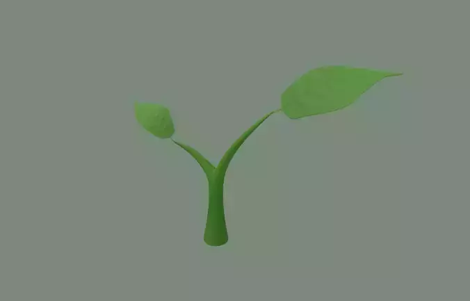 Plant Sprout 3D model
