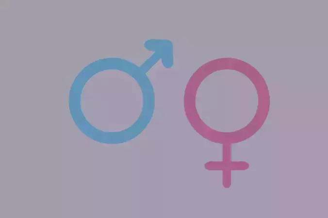 Gender Symbols 3D model