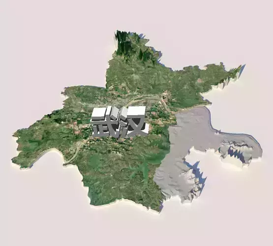 WUHAN CITY E ZHOU CITY 3D Terrain Digital Elevation Model 3D model