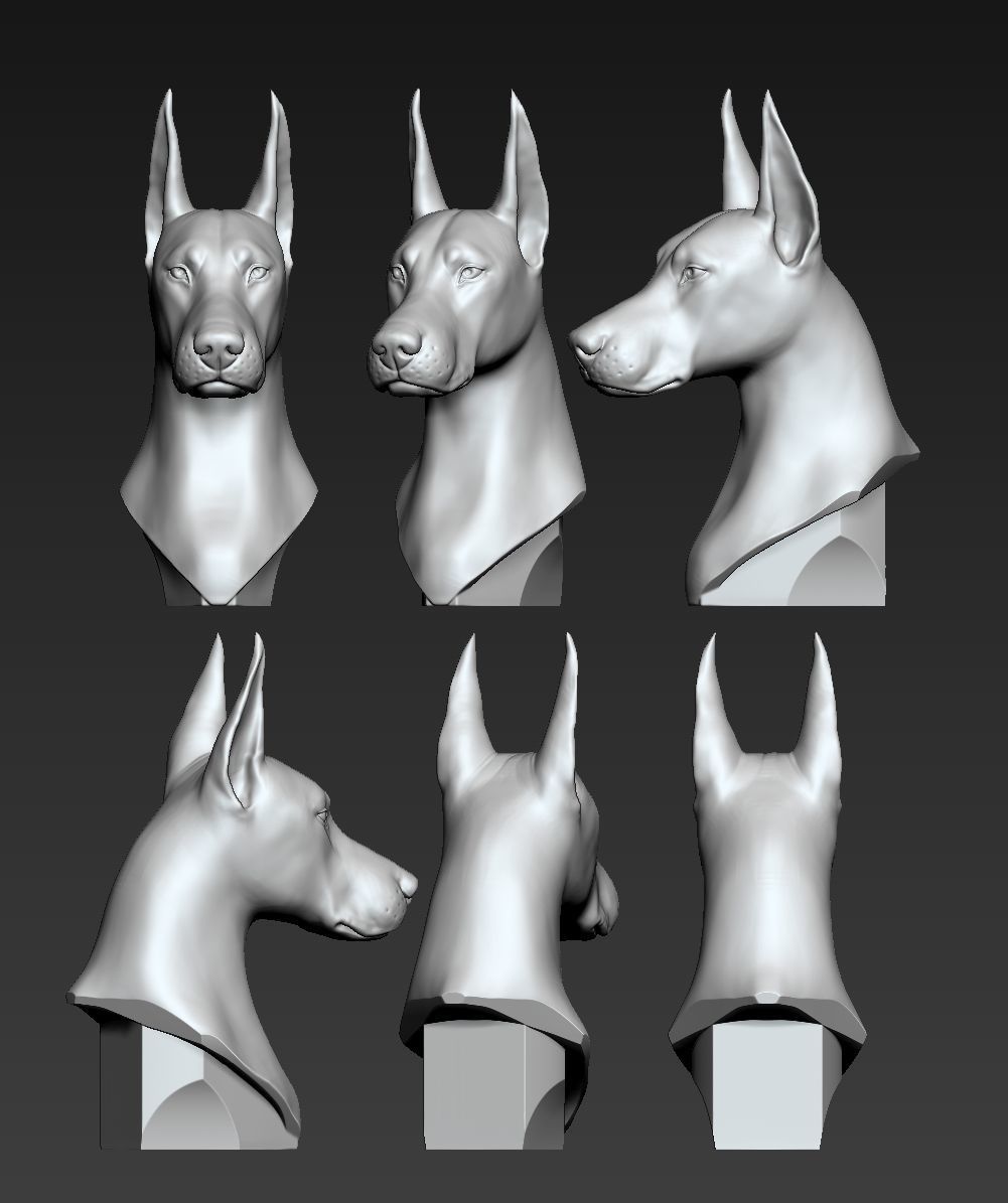 Doberman Portrait 3D print model_4