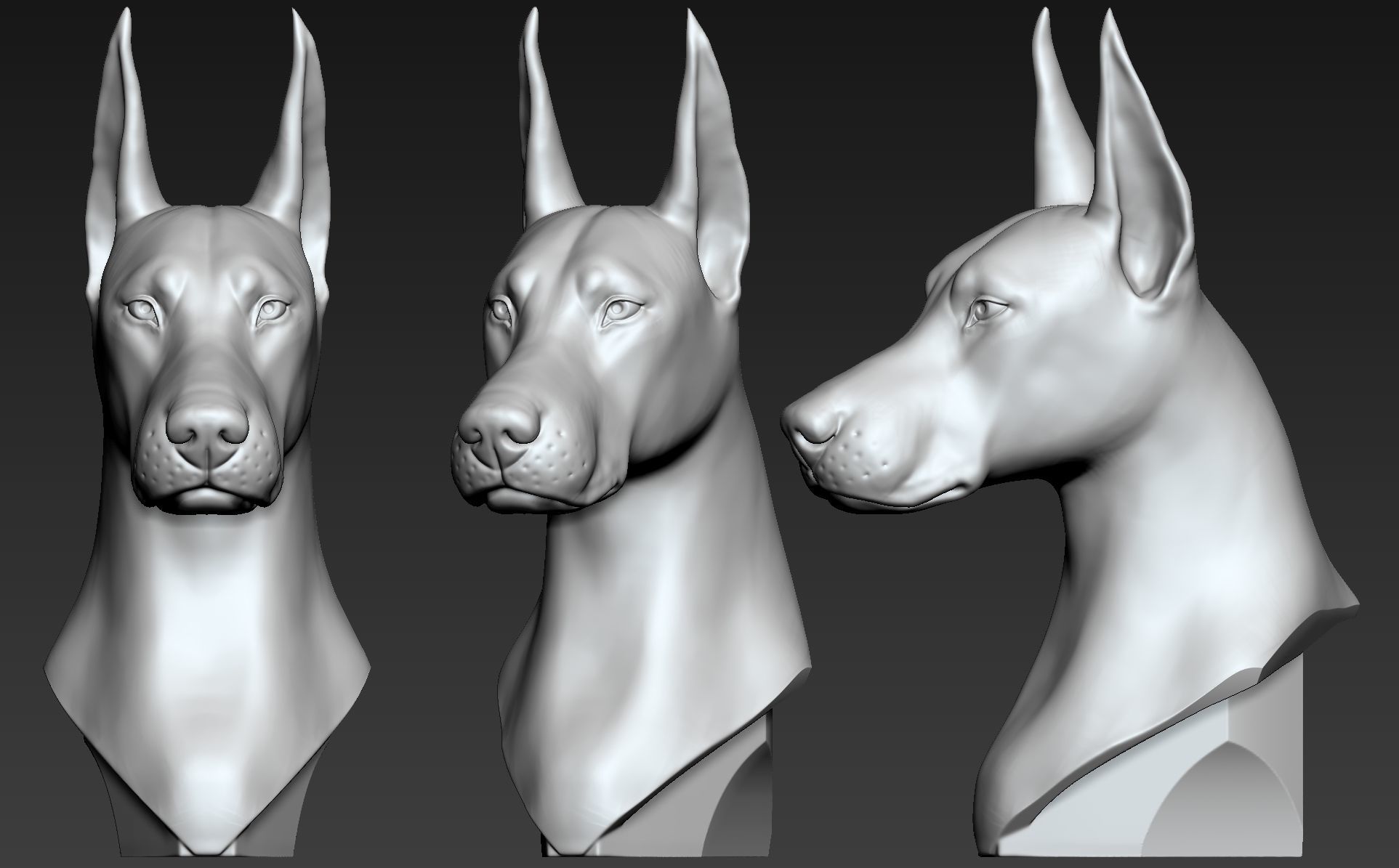 Doberman Portrait 3D print model_1