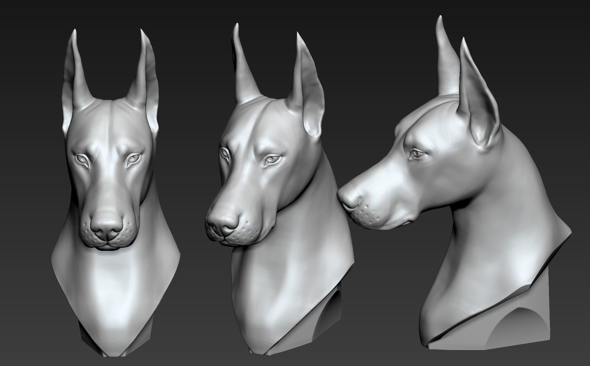 Doberman Portrait 3D print model_3