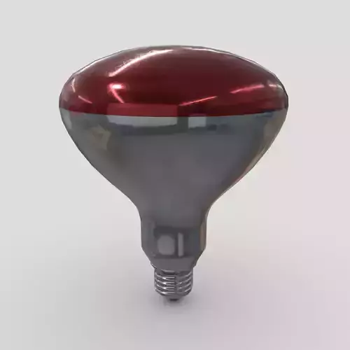 Light Bulb 6