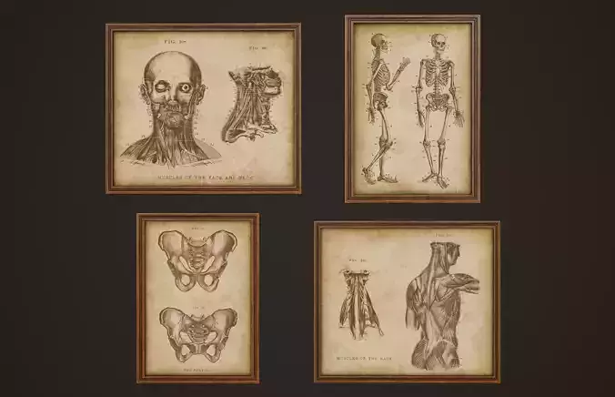 Medical Pictures - PBR Game Ready Low-poly 3D model