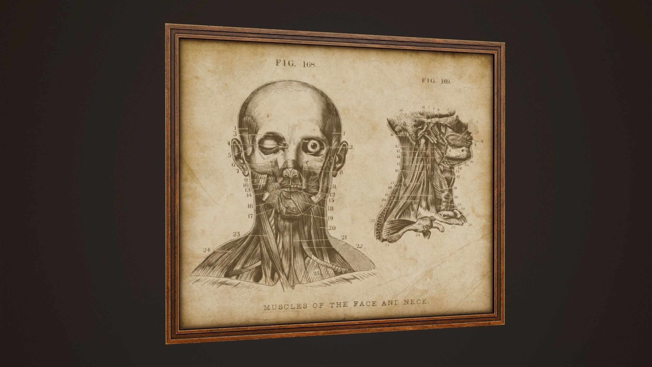 Medical Pictures - PBR Game Ready Low-poly 3D model_4