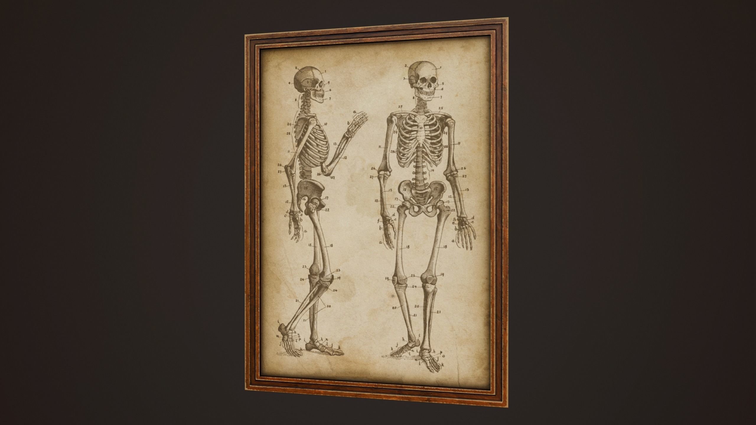 Medical Pictures - PBR Game Ready Low-poly 3D model_6