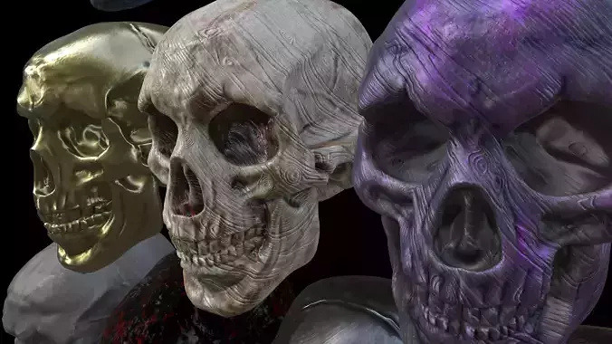 Skull different colored skulls