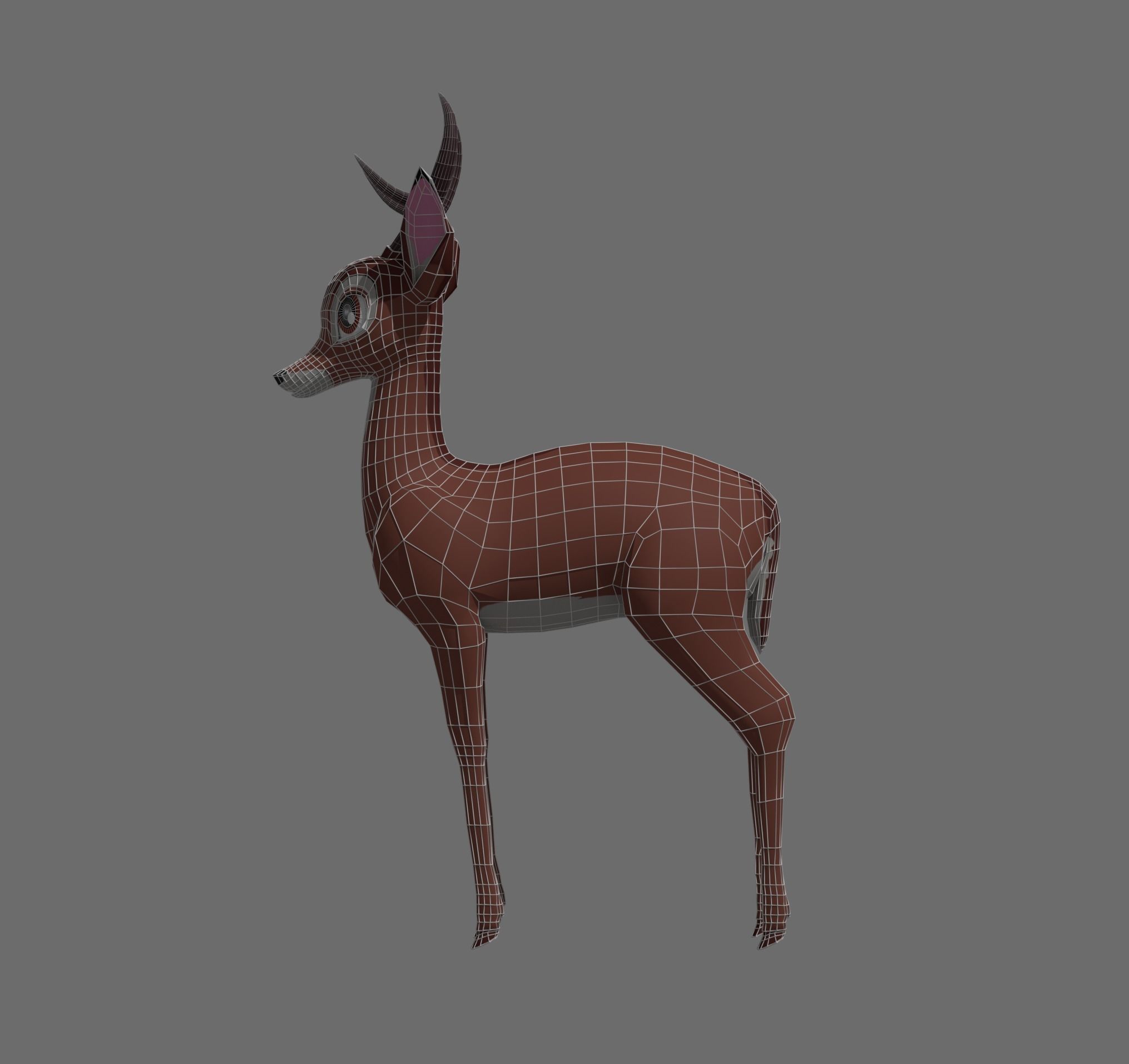 Adult Bambi Model Free 3D model_8