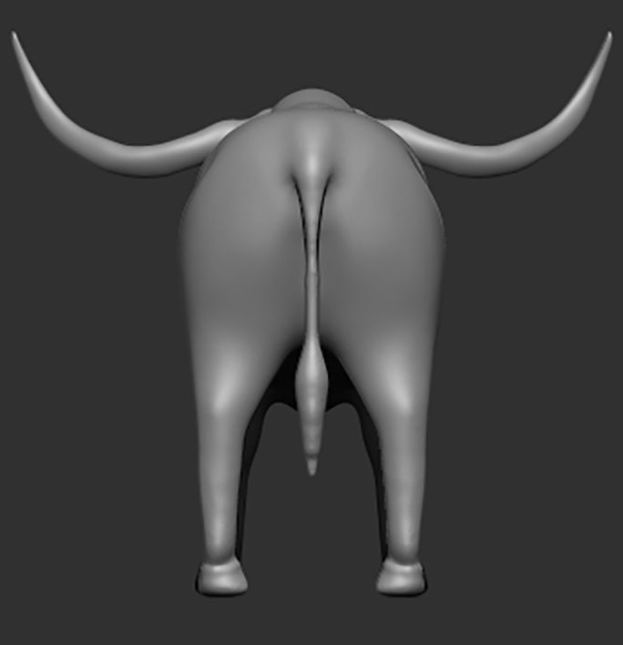 Texas Longhorn 3D print model_3