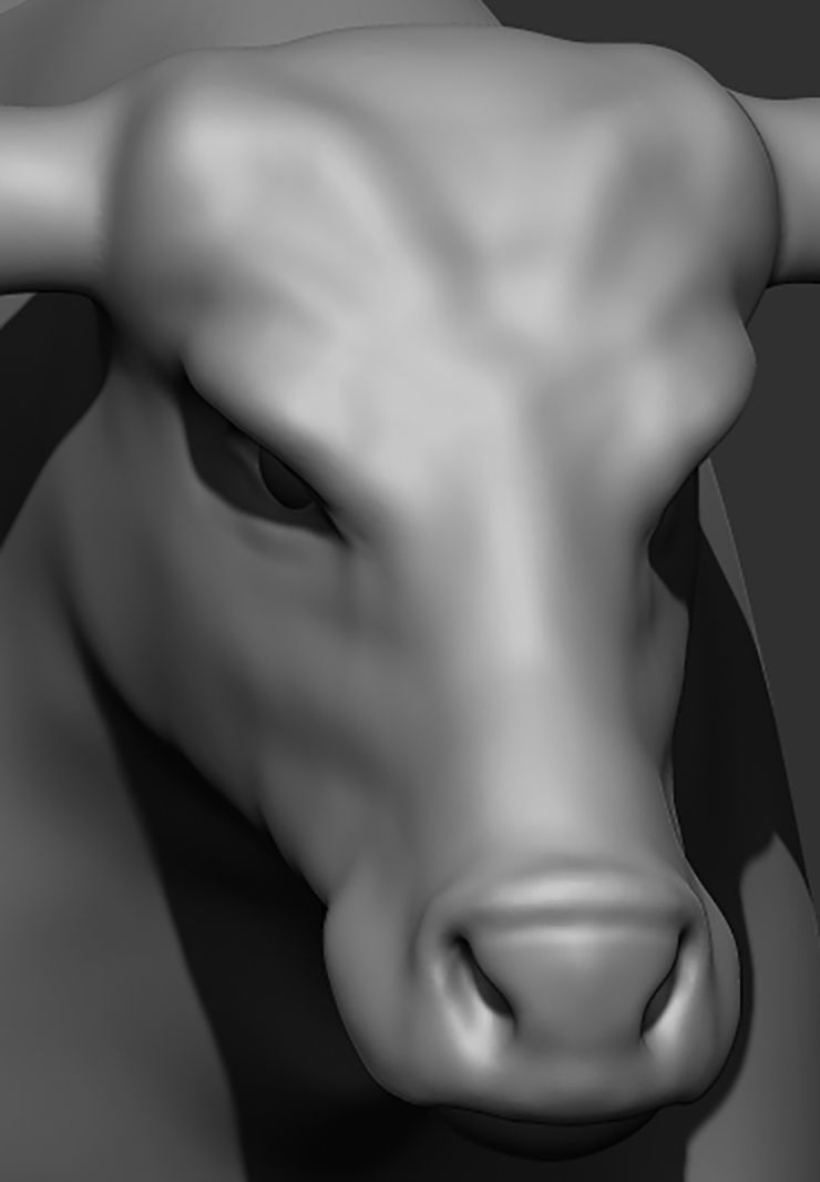 Texas Longhorn 3D print model_6