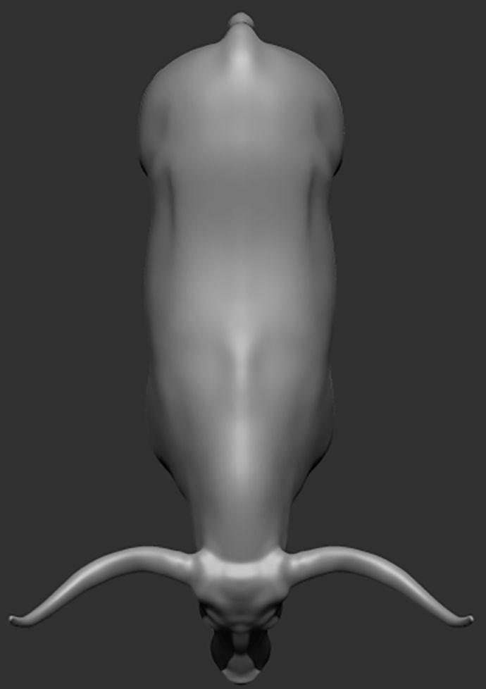 Texas Longhorn 3D print model_2