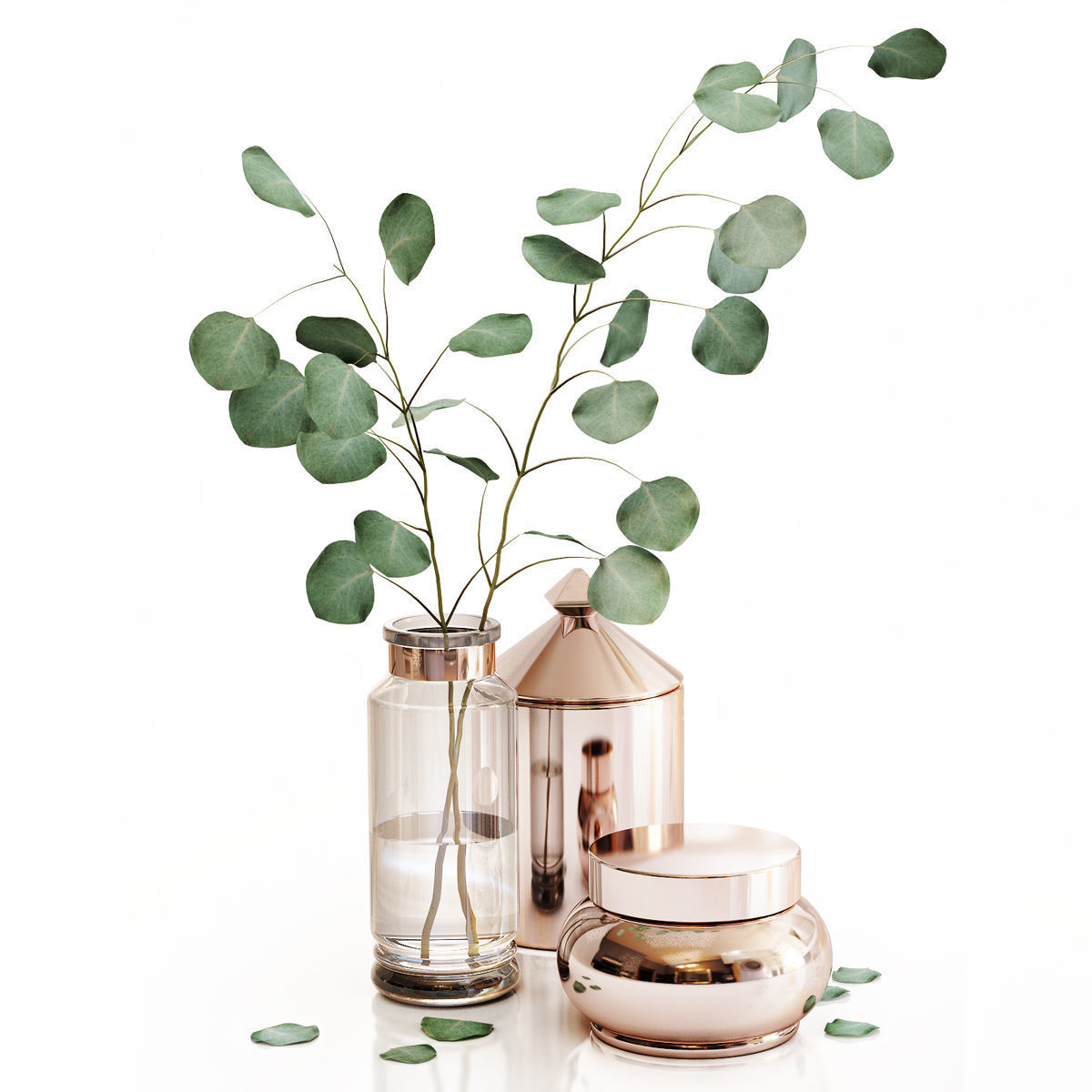 Eucalyptus 1 leaves in vase 3D model_1