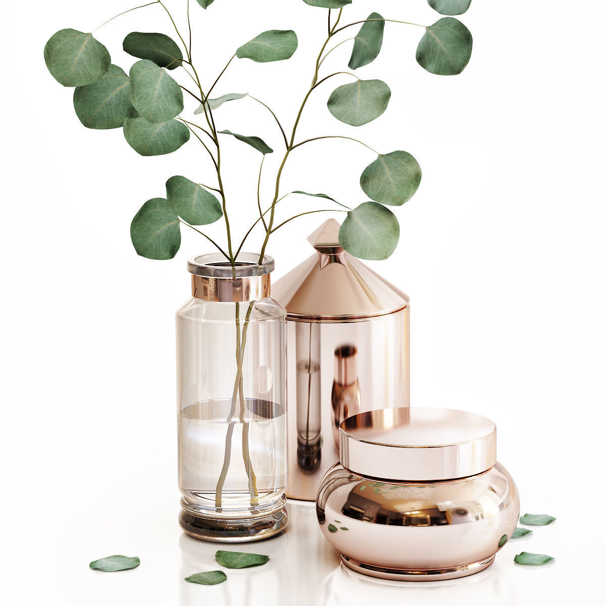 Eucalyptus 1 leaves in vase 3D model_2