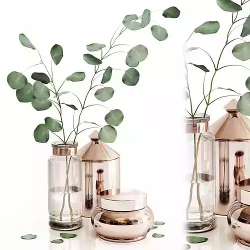 Eucalyptus 1 leaves in vase