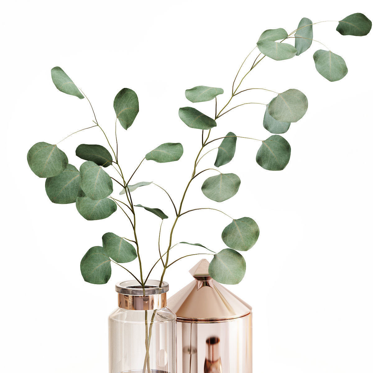 Eucalyptus 1 leaves in vase 3D model_3