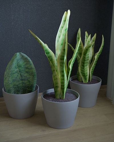 pot plant Free low-poly 3D model