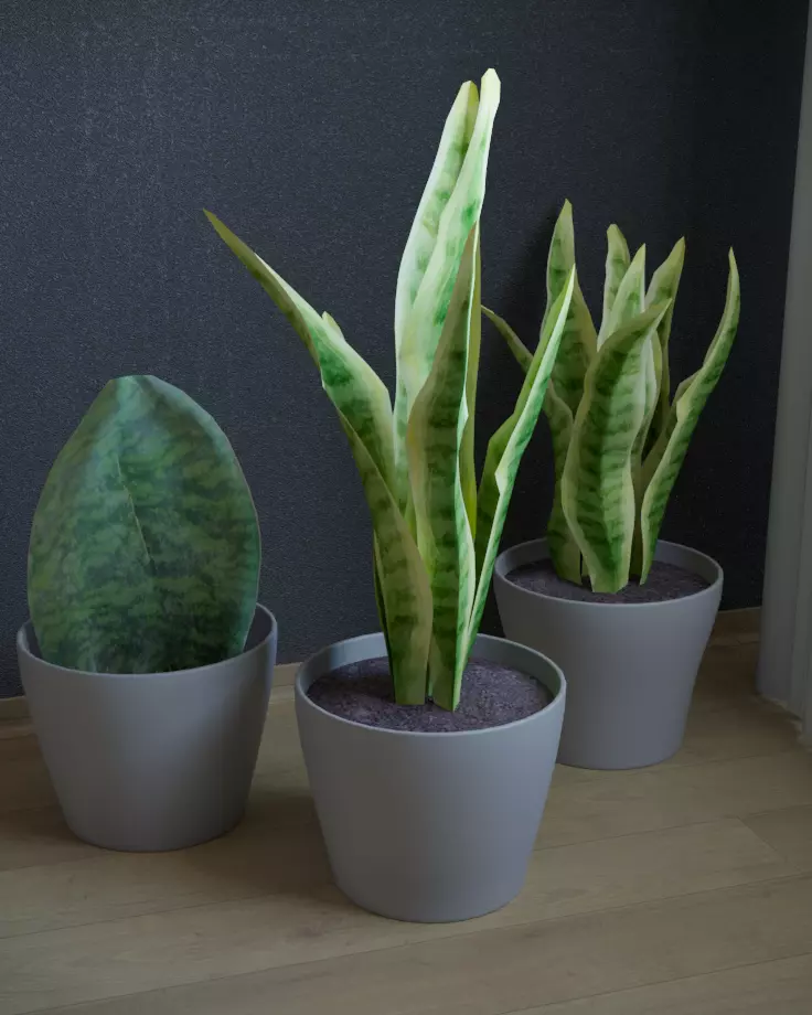 pot plant Free low-poly 3D model
