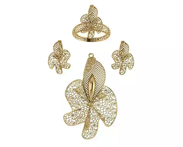 vision set gold - plated jewelry