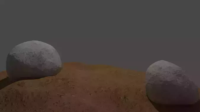 Soil surface with rocks