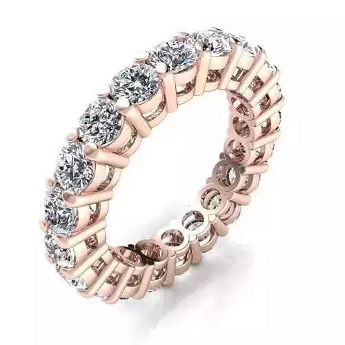 Eternity  Ring 3d Pring Model