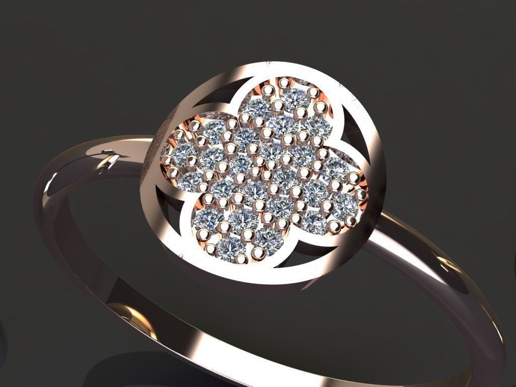 Gold Silver Ring 3d Print Model 3D print model 3D print model_1