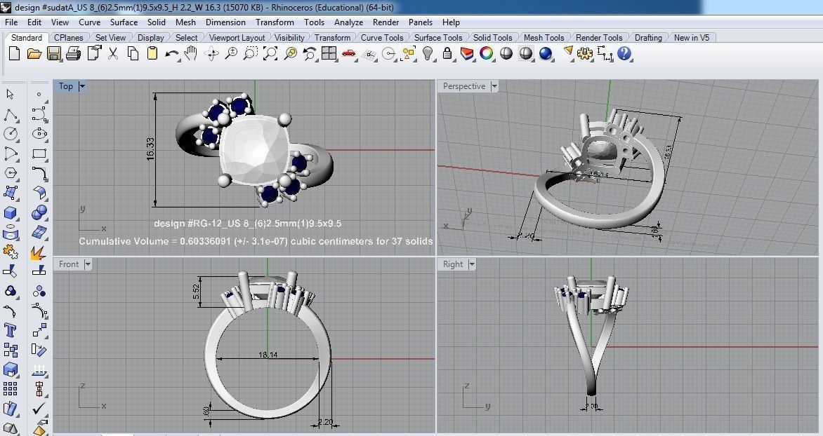 Rings-12 ring 3D print model_2