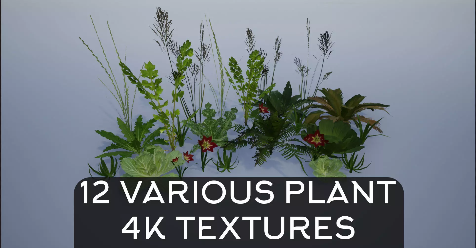 4K Lowpoly Plant Collection plants 3D Model Pack