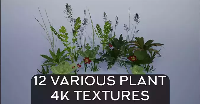 4K Lowpoly Plant Collection plants 