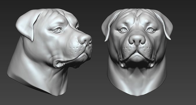 Rottweiler dog head 3D print model