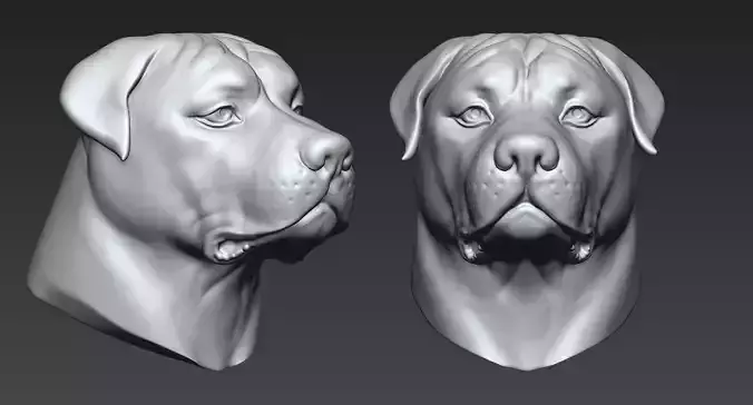Rottweiler dog head 3D print model