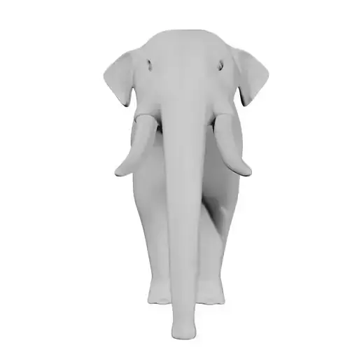Elephant with tusks