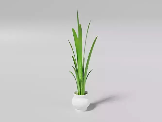 Tall plant pot Free low-poly 3D model