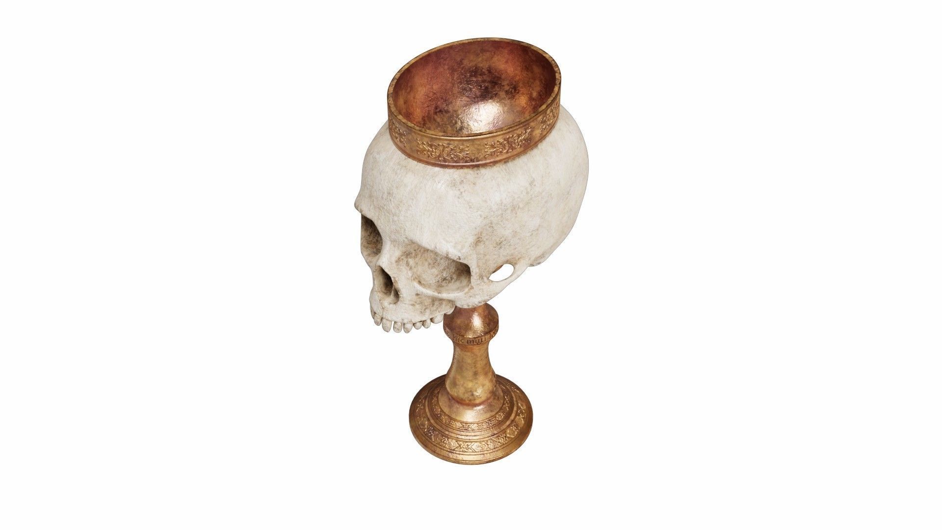 Skull cup 3D model_5