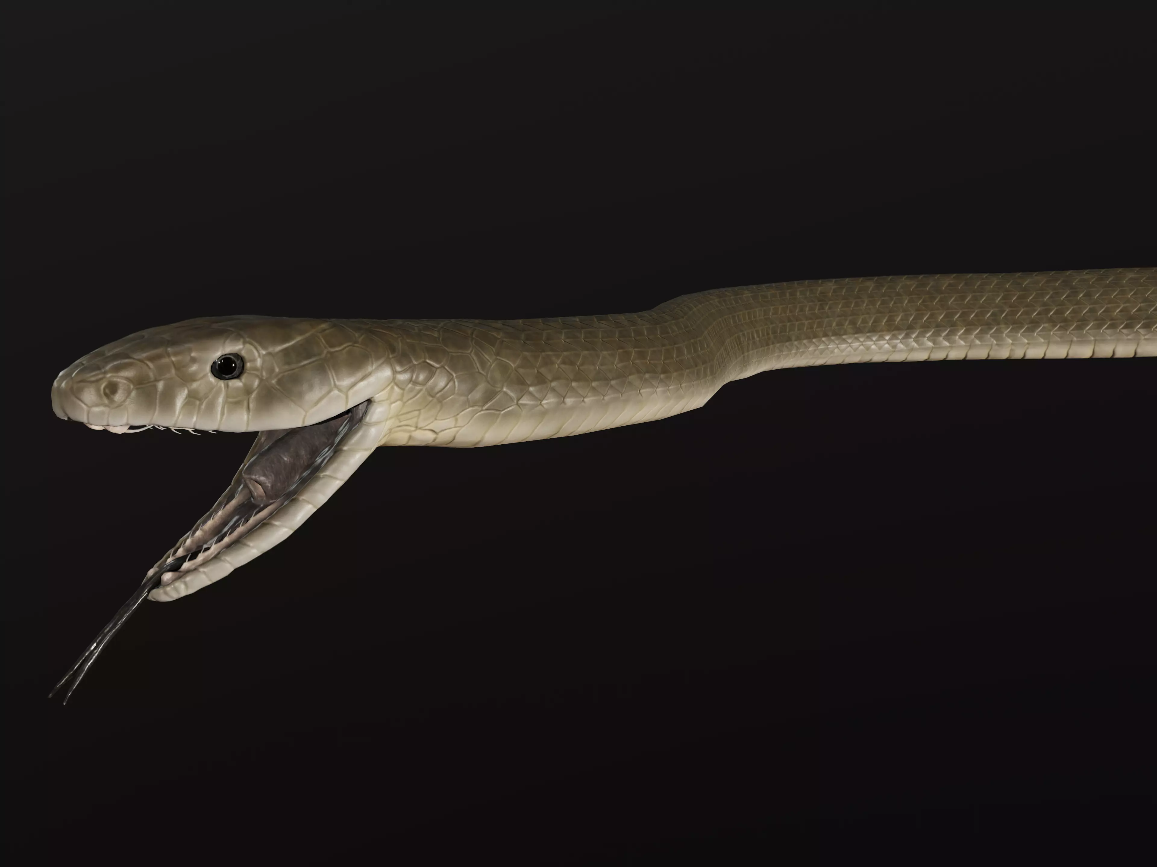 Black Mamba Snake Low-poly 3D model_0