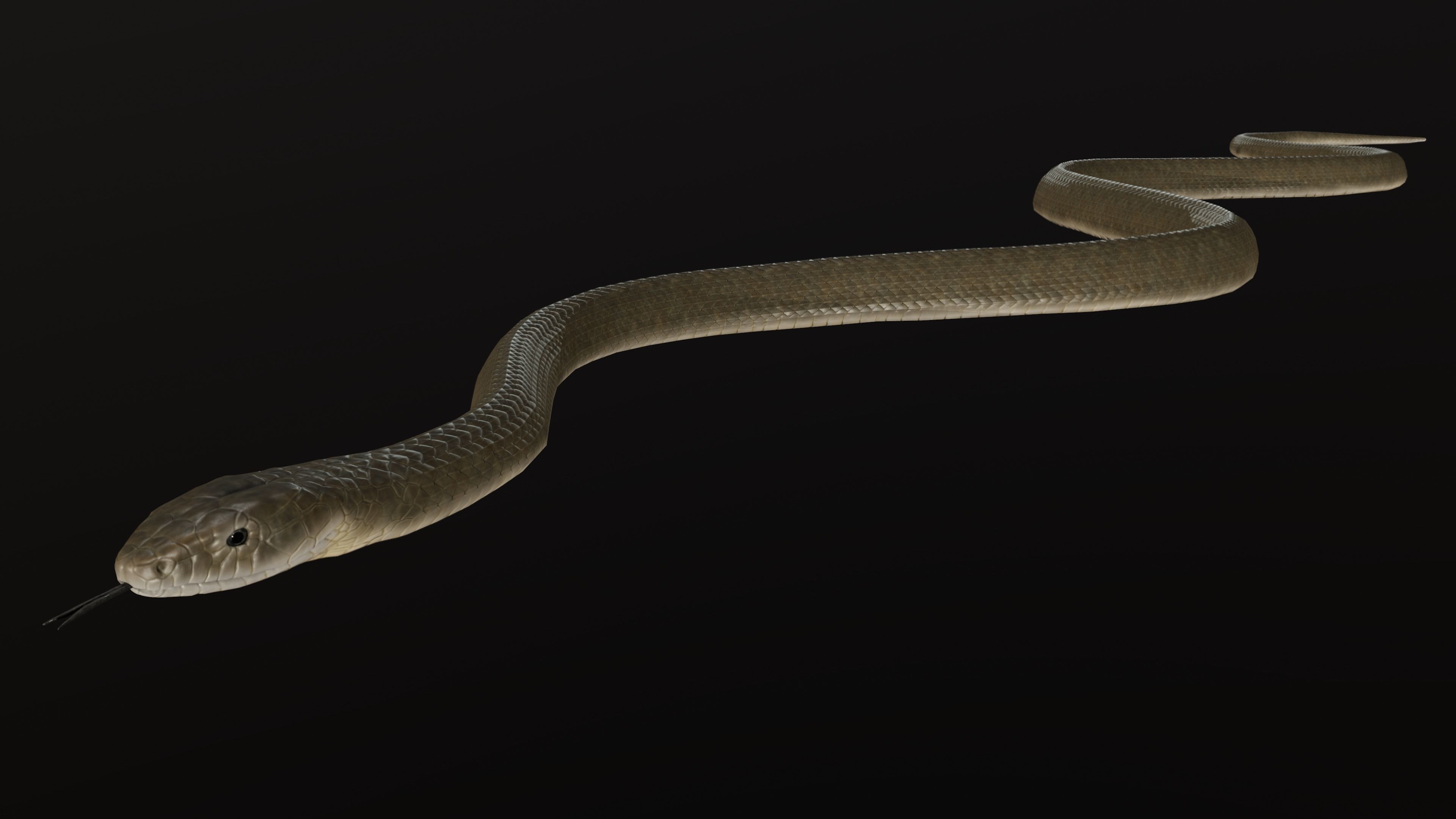 Black Mamba Snake Low-poly 3D model_3