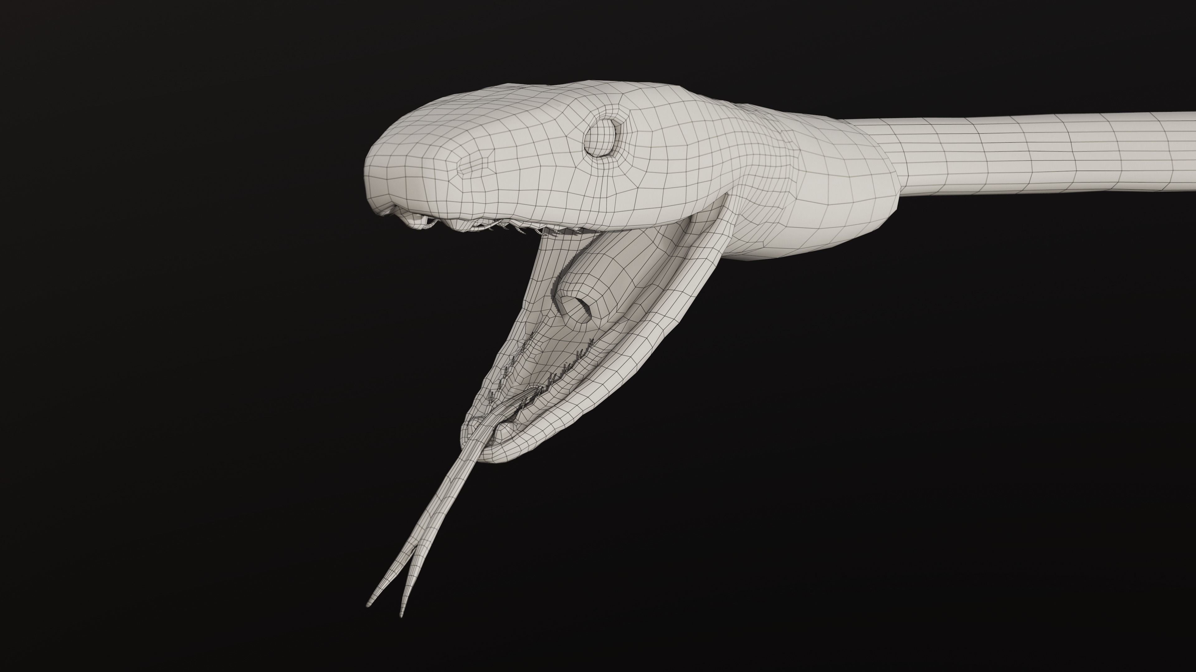 Black Mamba Snake Low-poly 3D model_14