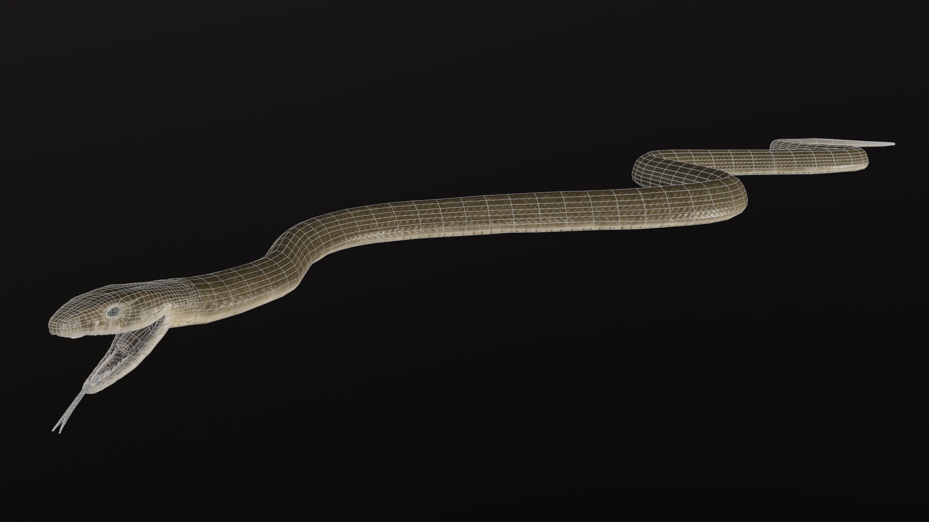 Black Mamba Snake Low-poly 3D model_12