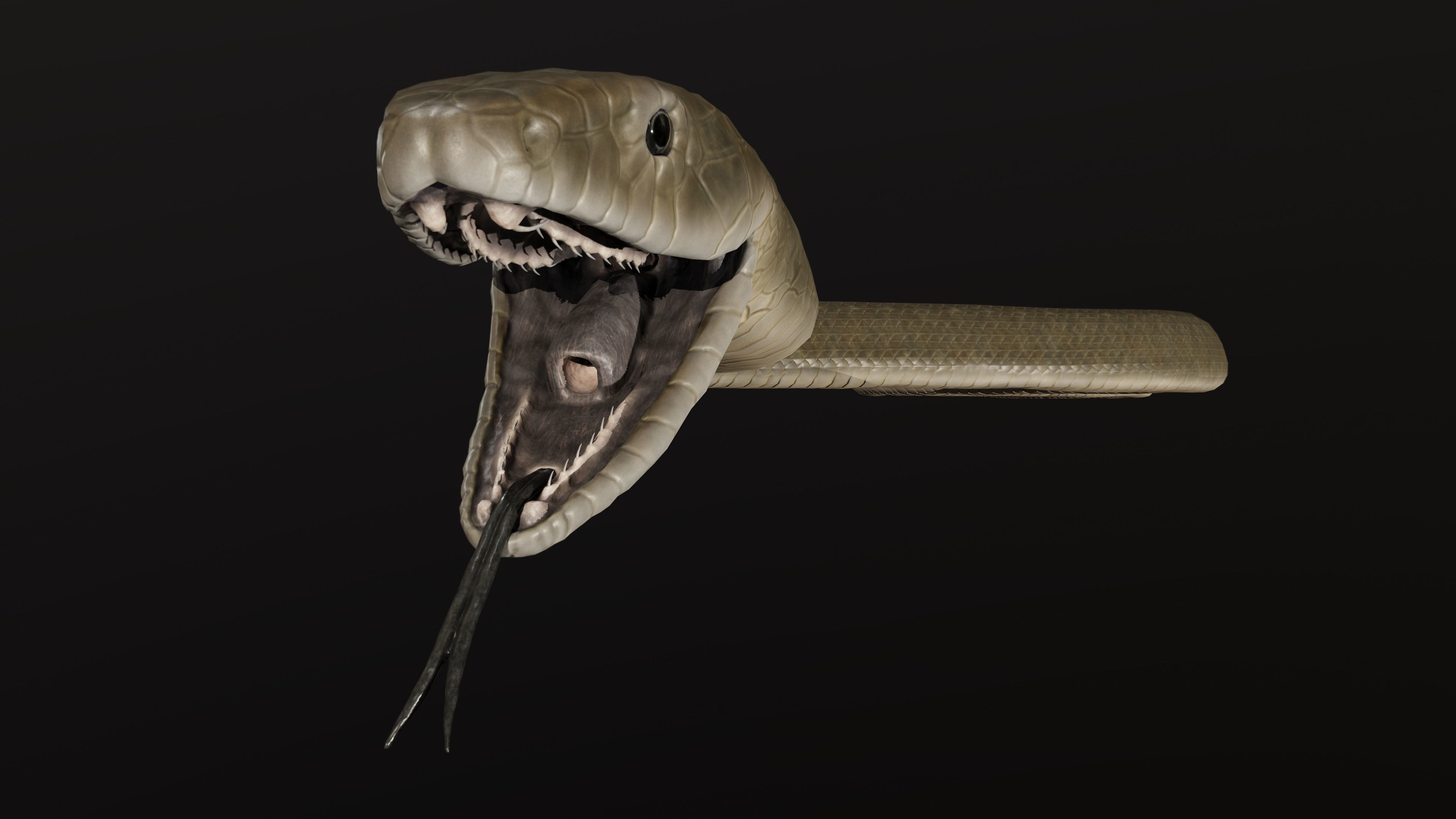 Black Mamba Snake Low-poly 3D model_6