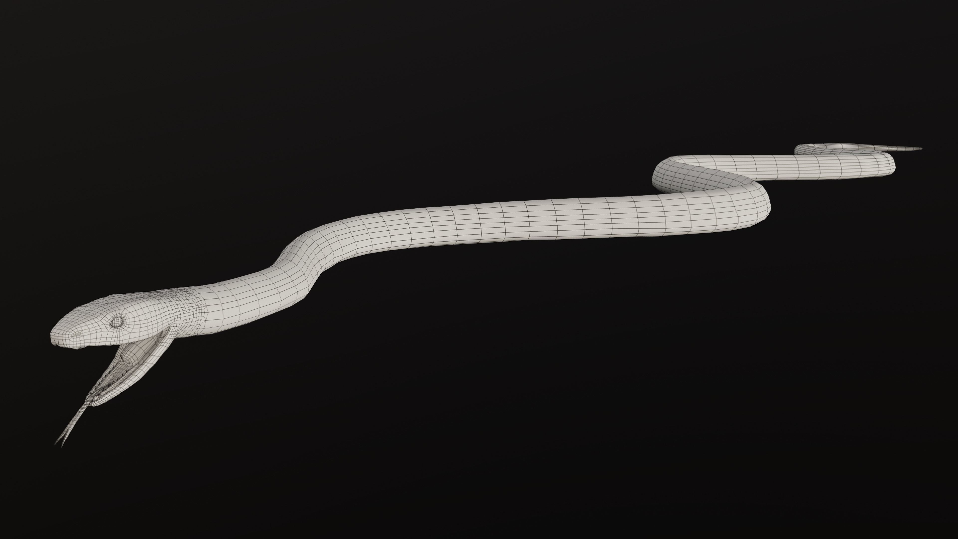 Black Mamba Snake Low-poly 3D model_13