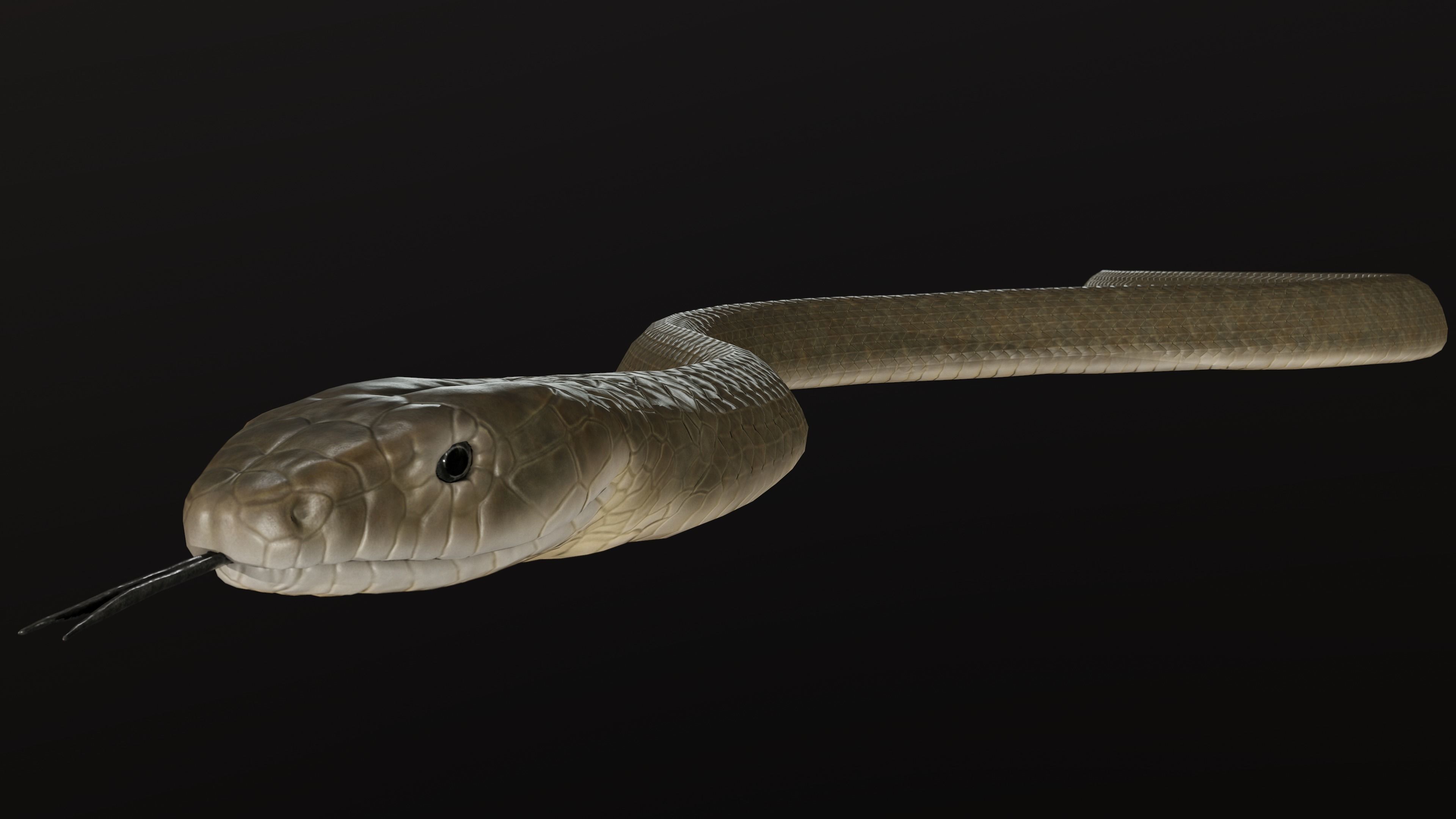 Black Mamba Snake Low-poly 3D model_4